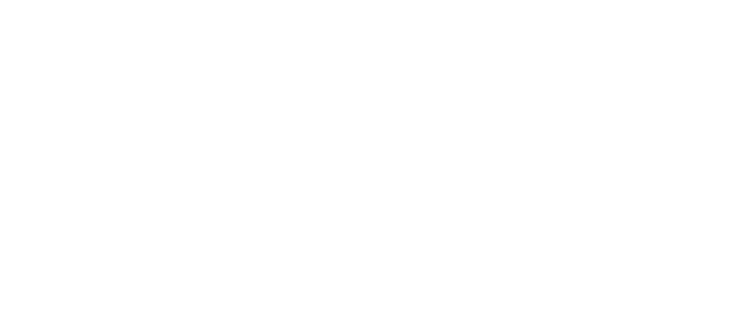 002 LVIT Bricks Template